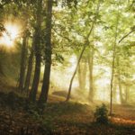 Pitchup.com propone 5 soluzioni per scoprire il foliage immersi nella natura