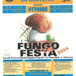 A Giaveno la 37° Edizione del Fungo in Festa
