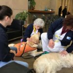 La Pet Therapy a sostegno dei pazienti oncologici del Valdarno