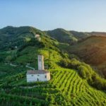 Le colline del Prosecco di Conegliano e Valdobbiadene iscritte nella lista del patrimonio mondiale dell’Unesco