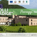 Dai Colli all’Adige: in bici sui Colli Euganei tra archeologia, arte e natura