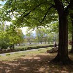 Un nuovo Parco Bioenergetico nel cuore di Bolzano