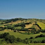 Val Mivola: nove comuni in provincia di Ancona per infinite esperienze tra le Valli del Misa e del Nevola