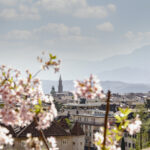 Primavera a Bolzano