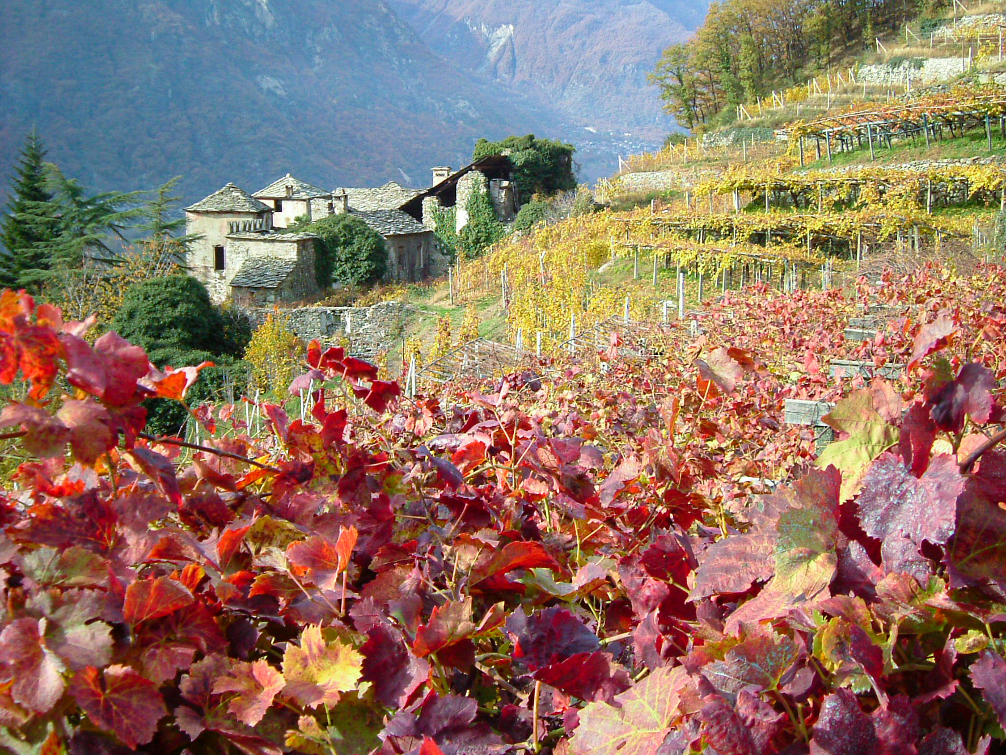 Un autunno di gusti e sapori in Valle d’Aosta